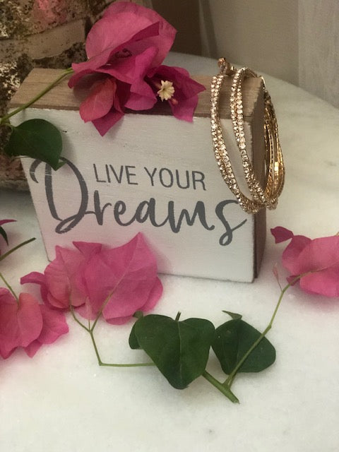 Twisted Hoop Bling Earrings